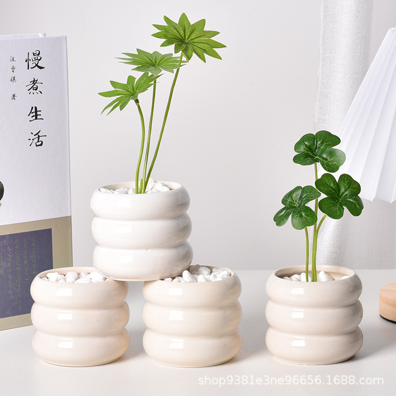 Ceramic Self-Watering Succulen - огляд і ціна Echeveria Succulent
