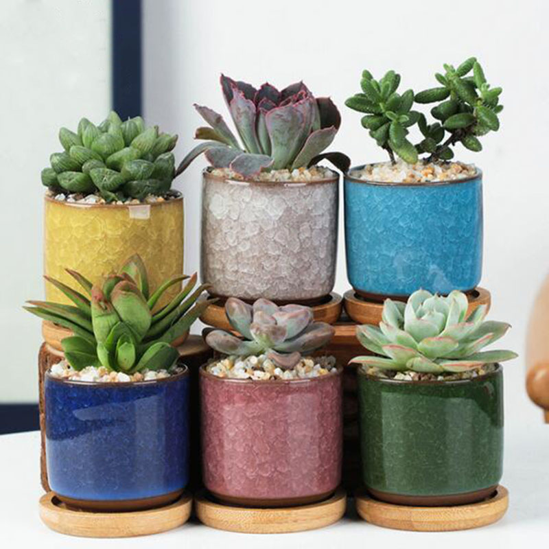 6pcs/set Ceramic Flowerpot Set - огляд і ціна Echeveria Succulent