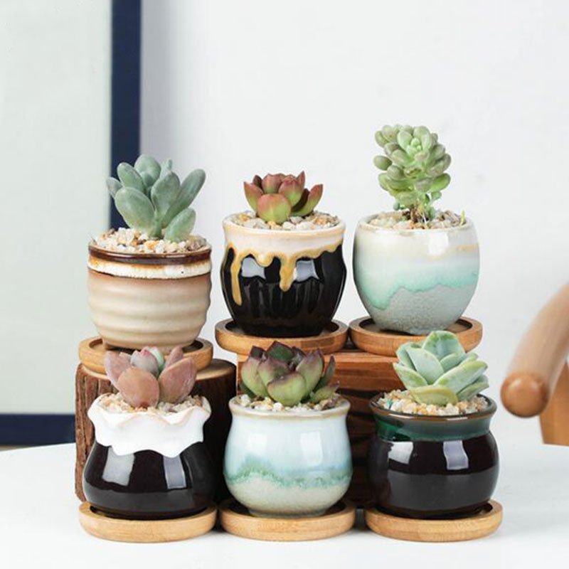 6pcs/set Ceramic Flowerpot Set - огляд і ціна Echeveria Succulent