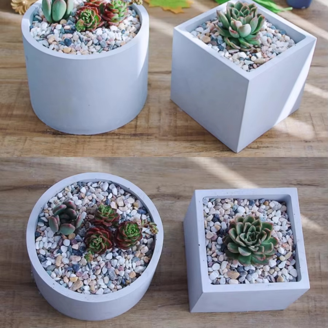 15cm Large Size Round Concrete - огляд і ціна Echeveria Succulent