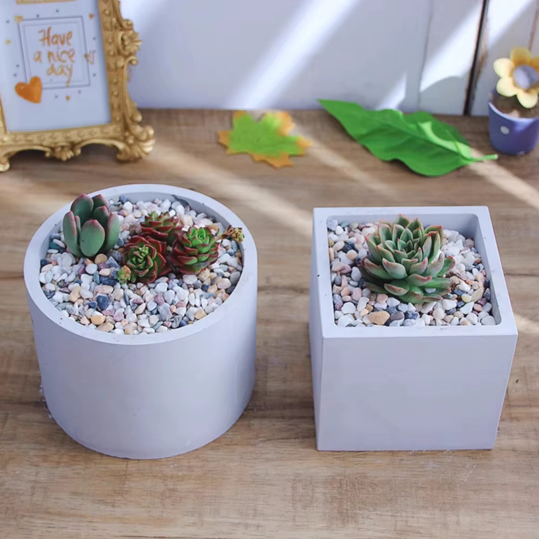 15cm Large Size Round Concrete - огляд і ціна Echeveria Succulent